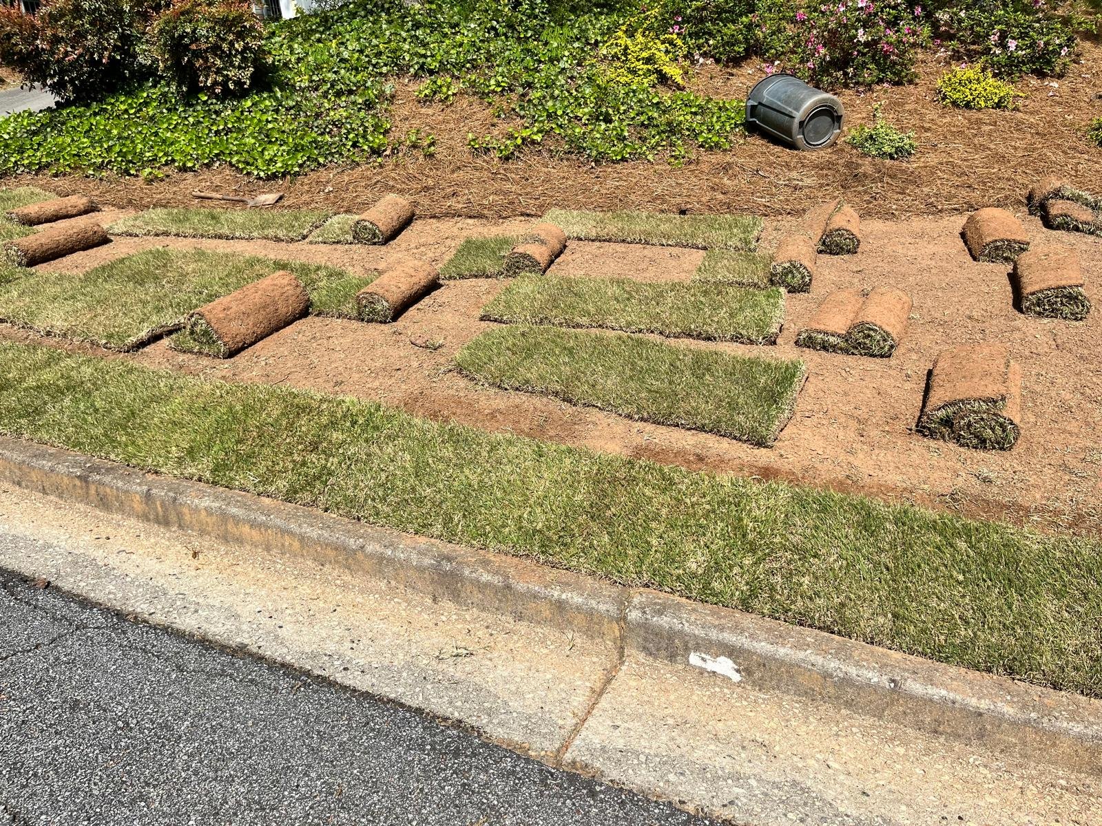 Sod Installation